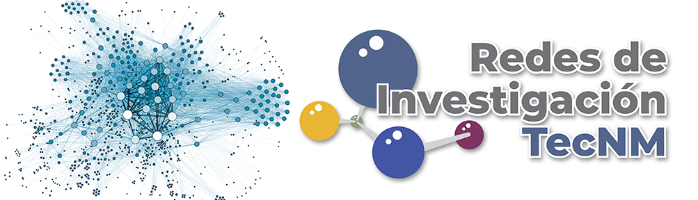 Redes de Investigación Logo